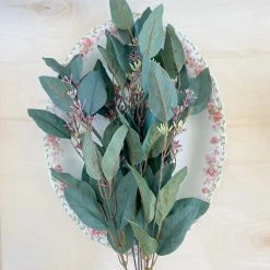 Oh! You're Lovely - Sola Wood Flowers Greenery And Filler Seeded Eucalyptus | 22 Inches | Artificial
