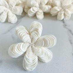 Oh! You're Lovely Sola Wood Flower Sets Moonlady ™ - Set Of 12 - Multiple Sizes Available