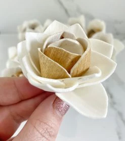 Oh! You're Lovely Sola Wood Flower Sets Bark Lotus ™ - Set Of 12 - 2.5 Inches