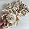Oh! You're Lovely - Sola Wood Flowers Bashful- Perfectly Imperfect- Set Of 12 (please Read Description) Sola Wood Flower Sets