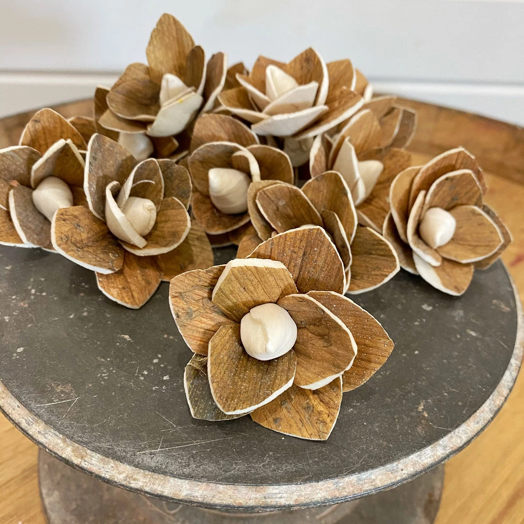 Oh! You're Lovely Sola Wood Flower Sets Luna™ Set Of 12 - 1.5 Inches