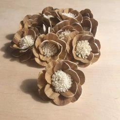 Oh! You're Lovely Sola Wood Flower Sets Pamela⢠Set Of 12 - Multiple Sizes Available