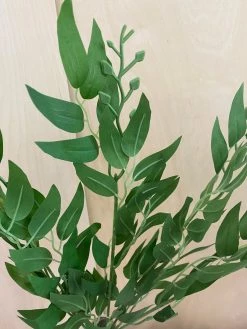 Oh! You're Lovely - Sola Wood Flowers Greenery And Filler Artificial Seeded Italian Ruscus | Basics Collection |