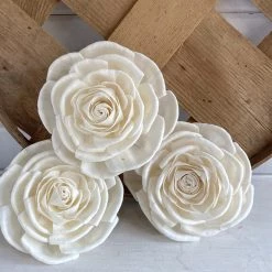 Oh! You're Lovely Sola Wood Flower Sets Paris | X-Large | Set Of 3