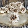 Oh! You're Lovely Winifred™ - Set Of 12 - 2.5 Inches Sola Wood Flower Sets