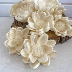 Oh! You're Lovely - Sola Wood Flowers Opal Flower - Set Of 12 - Multiple Sizes Available Sola Wood Flower Sets