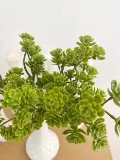 Oh! You're Lovely - Sola Wood Flowers Sedum Bunch- Green- Faux
