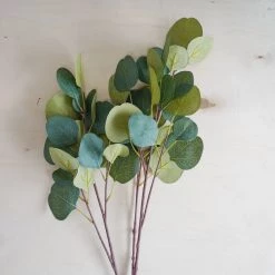 Oh! You're Lovely - Sola Wood Flowers Silver Dollar Eucalyptus | Premium Collection