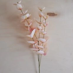 Oh! You're Lovely - Sola Wood Flowers Greenery And Filler Blush Eucalyptus | Premium Collection