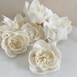 Oh! You're Lovely Sola Wood Flower Sets Budding Lotus™ Set Of 12