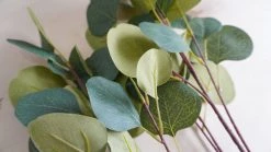 Oh! You're Lovely - Sola Wood Flowers Silver Dollar Eucalyptus | Premium Collection
