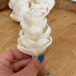 Oh! You're Lovely - Sola Wood Flowers Hawaiian Ginger™ - Set Of 6 - 3" Sola Wood Flower Sets