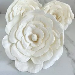 Oh! You're Lovely Sola Wood Flower Sets Double Begonia ™ | Set Of 3 | XL 5 Inches