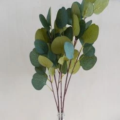 Oh! You're Lovely - Sola Wood Flowers Silver Dollar Eucalyptus | Premium Collection