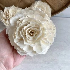 Oh! You're Lovely Sola Wood Flower Sets Sophia | X-Large | Set Of 3