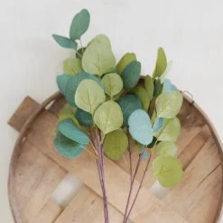 Oh! You're Lovely - Sola Wood Flowers Silver Dollar Eucalyptus | Premium Collection