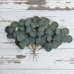 Oh! You're Lovely - Sola Wood Flowers Artificial Eucalyptus | Basics Collection | Single Stems