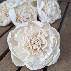 Oh! You're Lovely Sola Wood Flower Sets Juliet Rose - Set Of 12 - Multiple Sizes Available