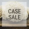 Sola Wood Flowers Wholesale Case Sale - Zinny 2.5 Inches - 1100 Flowers Sold By The Case