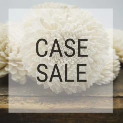 Sola Wood Flowers Wholesale Case Sale - Zinny 2.5 Inches - 1100 Flowers Sold By The Case
