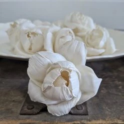 Oh! You're Lovely Matured Peony- Set Of 12 - Multiple Sizes