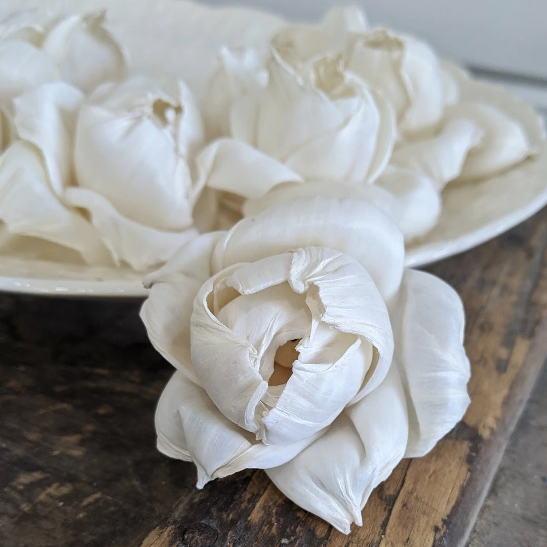 Oh! You're Lovely Matured Peony- Set Of 12 - Multiple Sizes