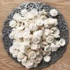 Oh! You're Lovely Mini Daisy™- Bulk Wholesale 100 Pack Bulk Sola Wood Flower Packs