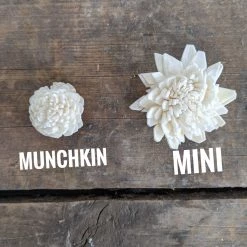 Oh! You're Lovely - Sola Wood Flowers Munchkin Assortment™ Set Of 50