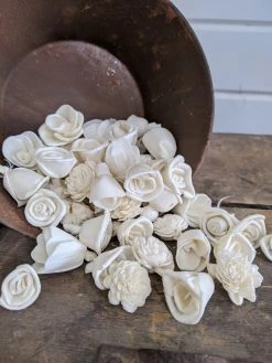 Oh! You're Lovely - Sola Wood Flowers Munchkin Assortment™ Set Of 50