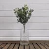 Oh! You're Lovely - Sola Wood Flowers New England Boxwood Bush Greenery And Filler