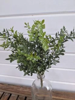 Oh! You're Lovely - Sola Wood Flowers New England Boxwood Bush Greenery And Filler