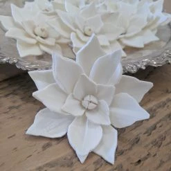 Oh! You're Lovely - Sola Wood Flowers Poinsettia - Set Of 12- Multiple Sizes Available Sola Wood Flower Sets