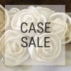 Sola Wood Flowers Wholesale Sold By The Case Case Sale - Rosa 2.5 Inches - 1000 Flowers