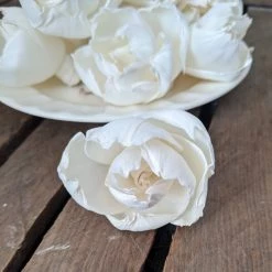 Oh! You're Lovely Ruffled Peony™ - Set Of 12 - Multiple Sizes Available Sola Wood Flower Sets