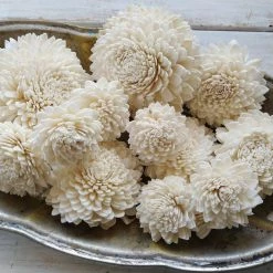 Sola Wood Flowers Wholesale Zinny- Size Assortment- Set Of 50