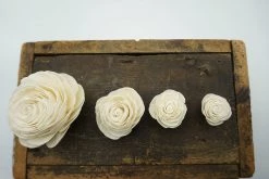 Oh! You're Lovely American Beauty Flower - Set Of 12 - Multiple Sizes Available