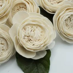Oh! You're Lovely Cabbage Rose - Set Of 12 - Multiple Sizes Available Sola Wood Flower Sets