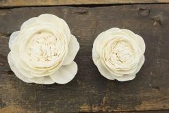 Oh! You're Lovely Cabbage Rose - Set Of 12 - Multiple Sizes Available Sola Wood Flower Sets