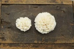 Oh! You're Lovely Sola Wood Flower Sets Carnation Flower - Set Of 12 - Multiple Sizes Available
