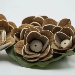 Oh! You're Lovely Cleo Flower - Set Of 12 - Multiple Sizes Available