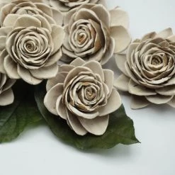 Oh! You're Lovely Sola Wood Flower Sets Forest Lily - Set Of 12 - Multiple Sizes Available