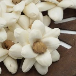 Oh! You're Lovely Gabriel Flower - Set Of 12 - Multiple Sizes Available