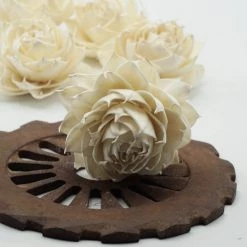 Oh! You're Lovely Sola Wood Flower Sets Garden Rose - Set Of 12 - Multiple Sizes Available