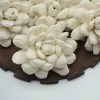 Oh! You're Lovely Sola Wood Flower Sets Halo Flower - Set Of 12 - Multiple Sizes Available
