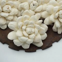 Oh! You're Lovely Sola Wood Flower Sets Halo Flower - Set Of 12 - Multiple Sizes Available