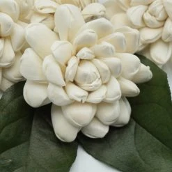 Oh! You're Lovely Sola Wood Flower Sets Halo Flower - Set Of 12 - Multiple Sizes Available