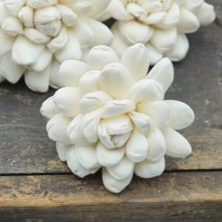 Oh! You're Lovely Sola Wood Flower Sets Halo Flower - Set Of 12 - Multiple Sizes Available