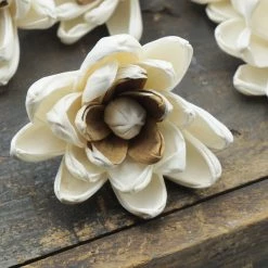 Oh! You're Lovely Hazel Flower - Set Of 12 - Multiple Sizes Available Sola Wood Flower Sets
