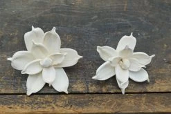 Oh! You're Lovely Jasmine - Set Of 12 - Multiple Sizes Available Sola Wood Flower Sets