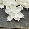 Oh! You're Lovely Jasmine - Set Of 12 - Multiple Sizes Available Sola Wood Flower Sets